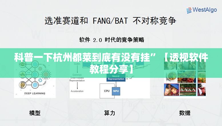 科普一下杭州都莱到底有没有挂	”【透视软件教程分享】