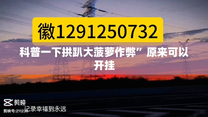 科普一下拱趴大菠萝作弊”原来可以开挂