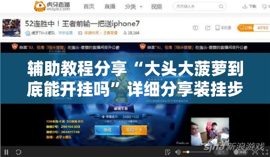 辅助教程分享“大头大菠萝到底能开挂吗”详细分享装挂步骤