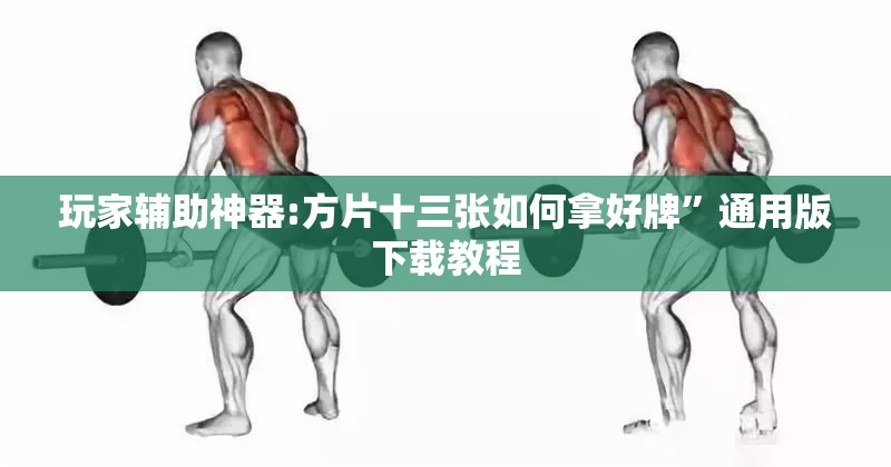 玩家辅助神器:方片十三张如何拿好牌”通用版下载教程