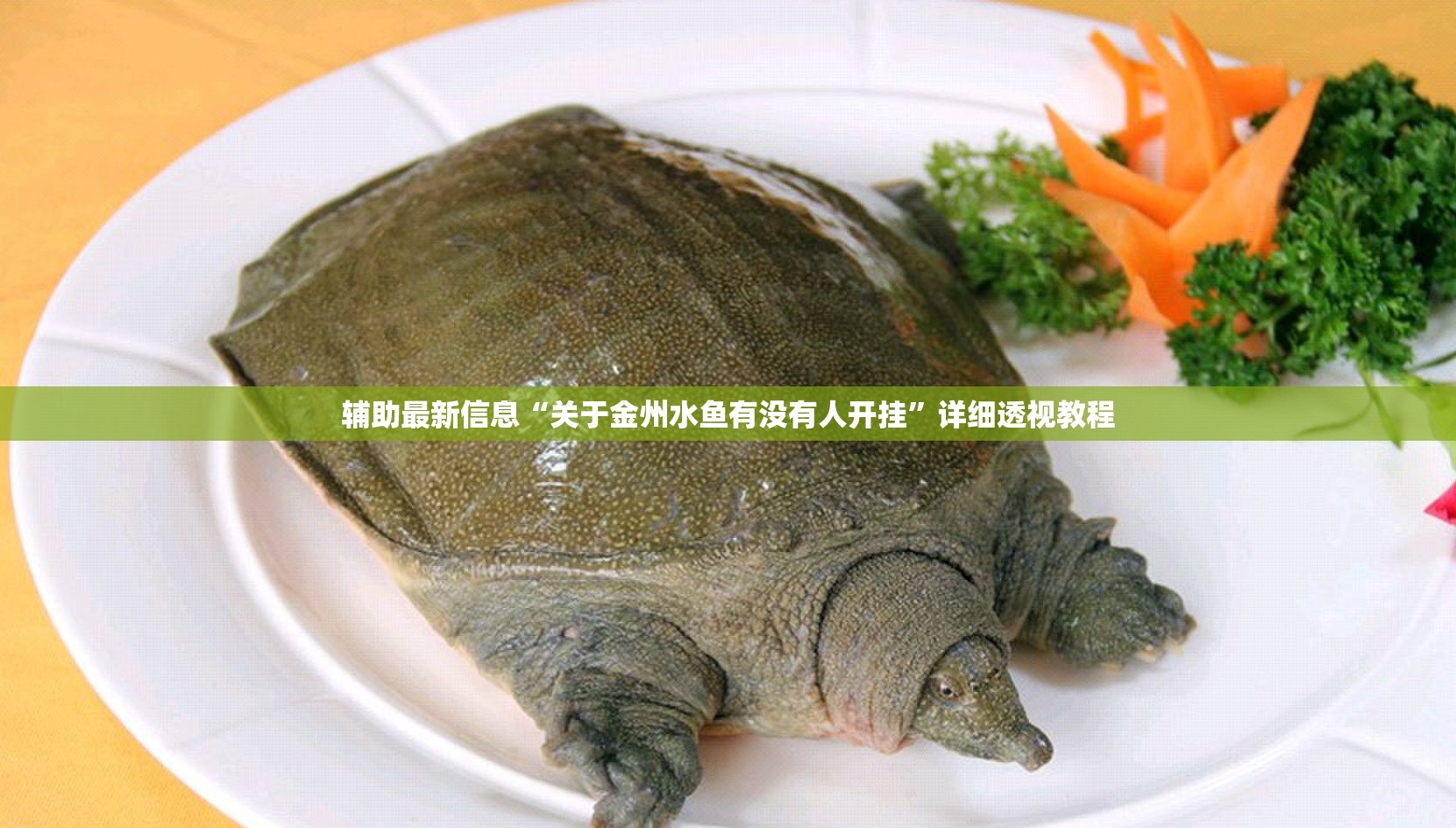 辅助最新信息“关于金州水鱼有没有人开挂”详细透视教程