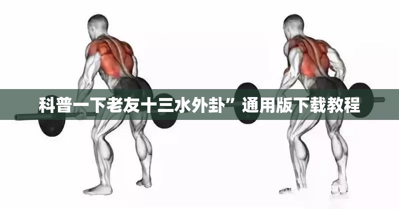 科普一下老友十三水外卦”通用版下载教程