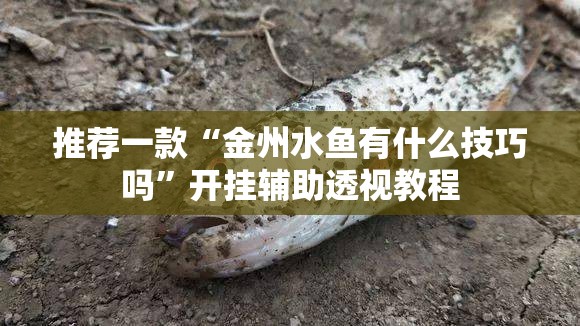 推荐一款“金州水鱼有什么技巧吗”开挂辅助透视教程