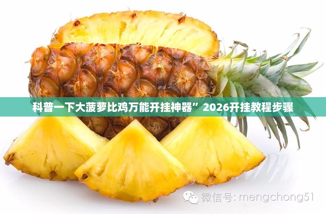 科普一下大菠萝比鸡万能开挂神器”2026开挂教程步骤