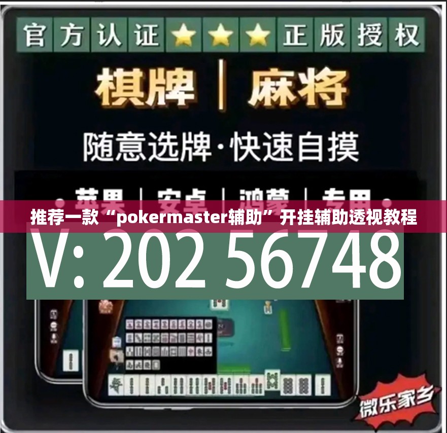 推荐一款“pokermaster辅助”开挂辅助透视教程