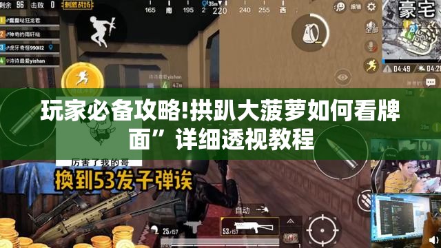 玩家必备攻略!拱趴大菠萝如何看牌面	”详细透视教程