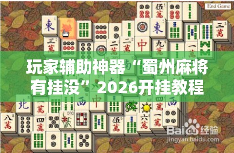 玩家辅助神器“蜀州麻将有挂没”2026开挂教程步骤