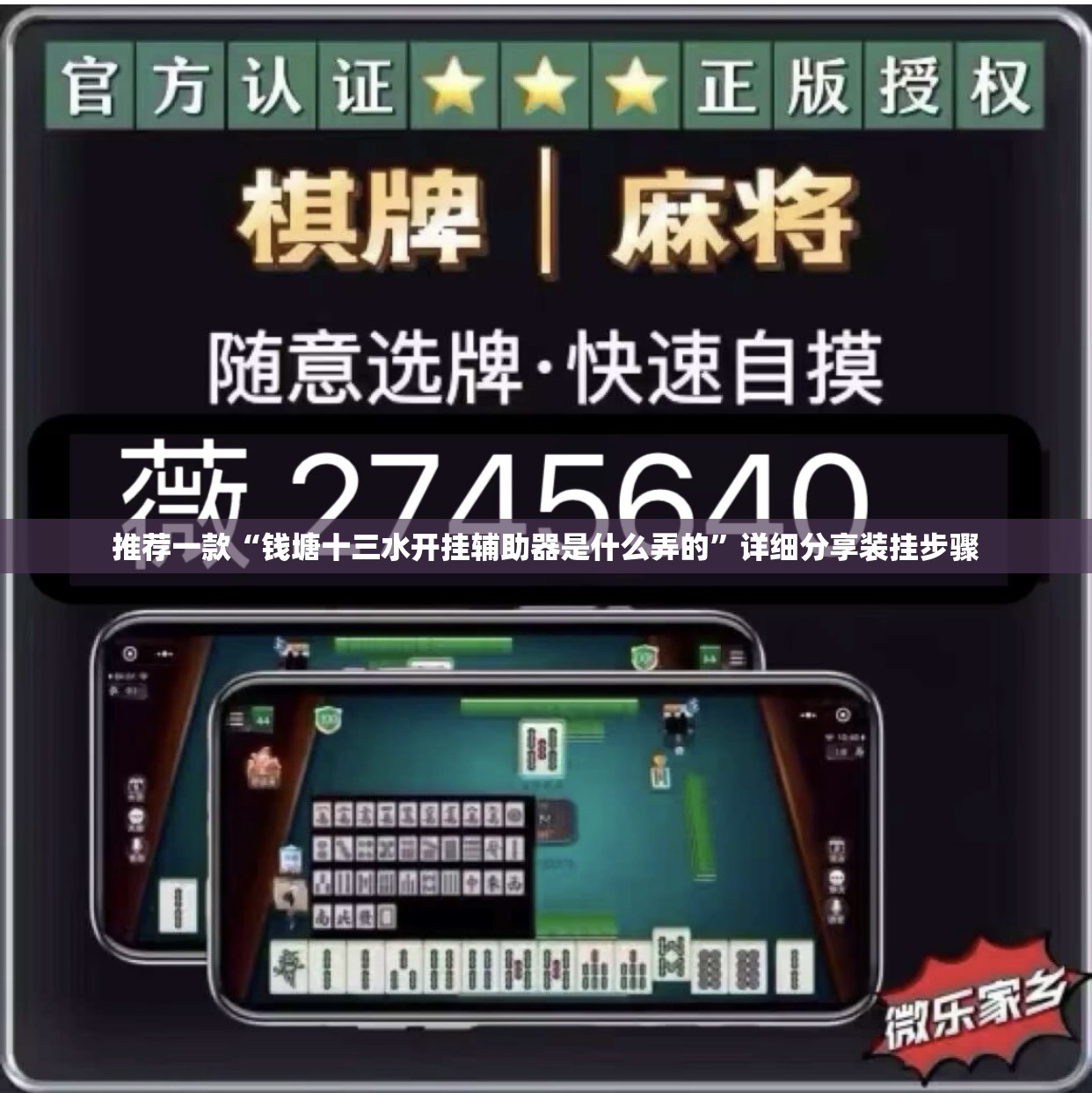 推荐一款“钱塘十三水开挂辅助器是什么弄的”详细分享装挂步骤
