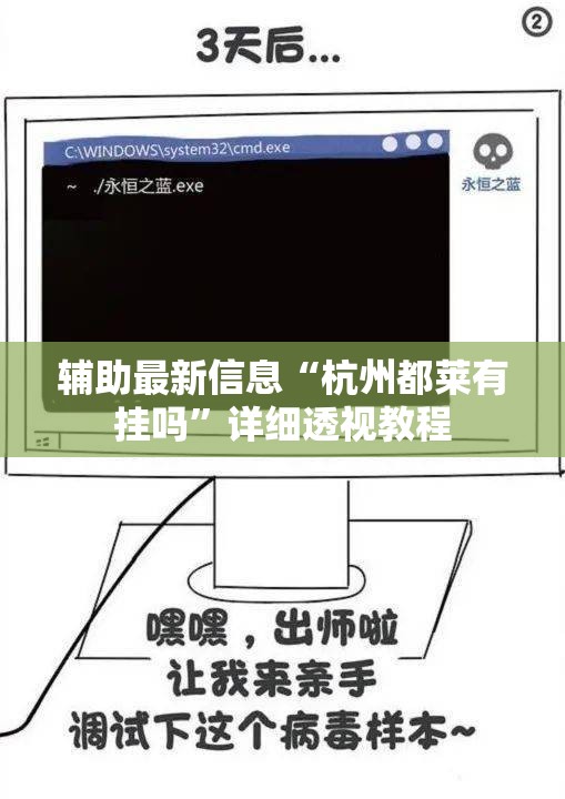 辅助最新信息“杭州都莱有挂吗”详细透视教程