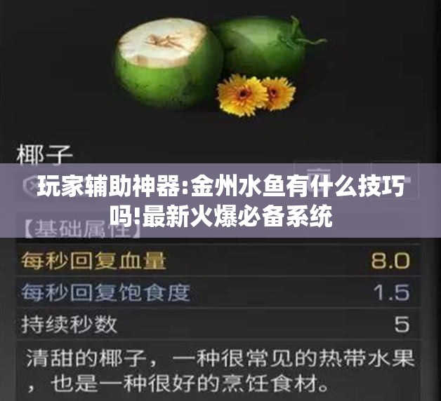 玩家辅助神器:金州水鱼有什么技巧吗!最新火爆必备系统